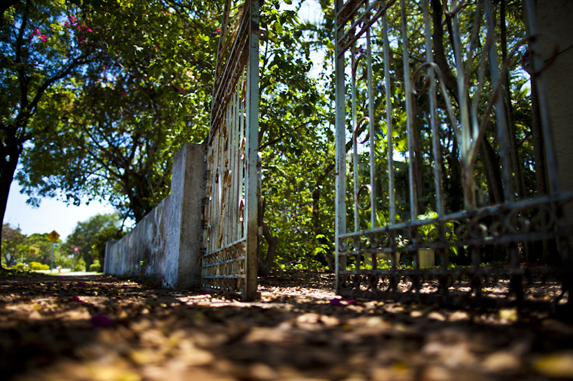 little havanna by amanda del duca-7