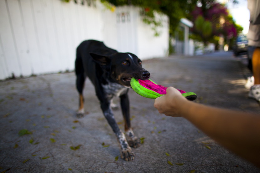 key west diary by amanda del duca-16