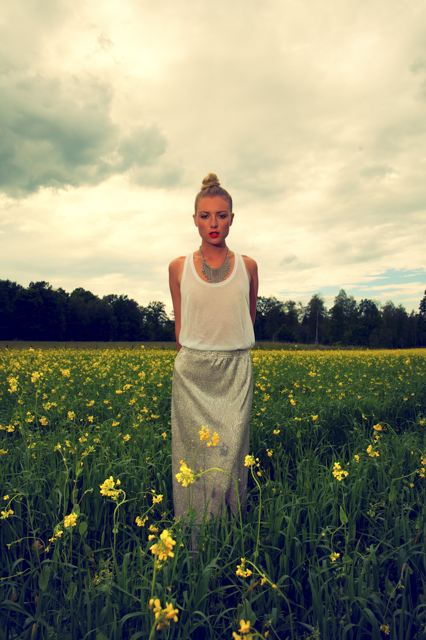 yellow field by amanda del duca-2