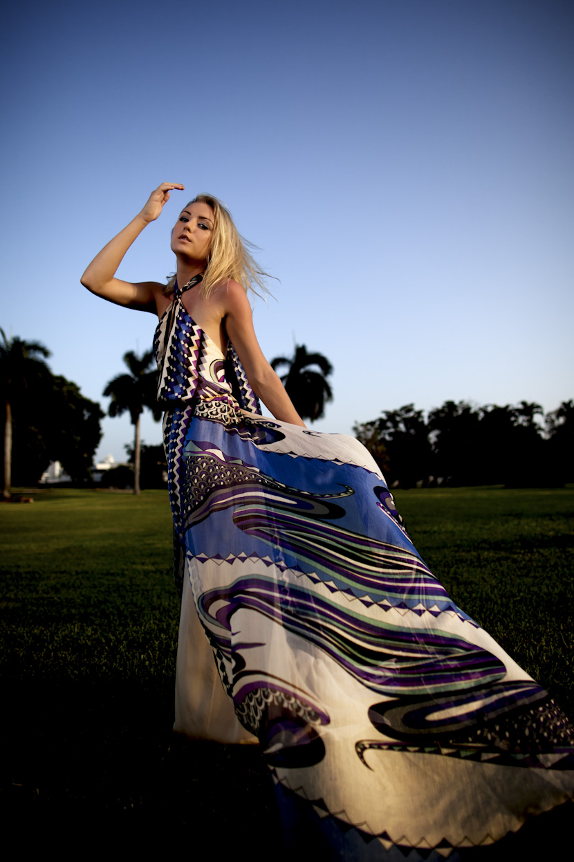 alexis dress-1