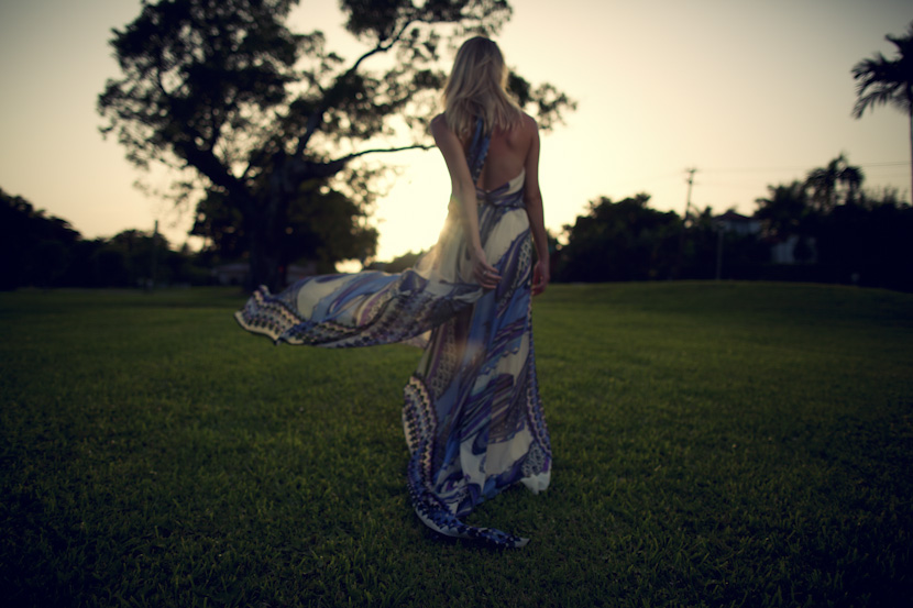 alexis dress-2