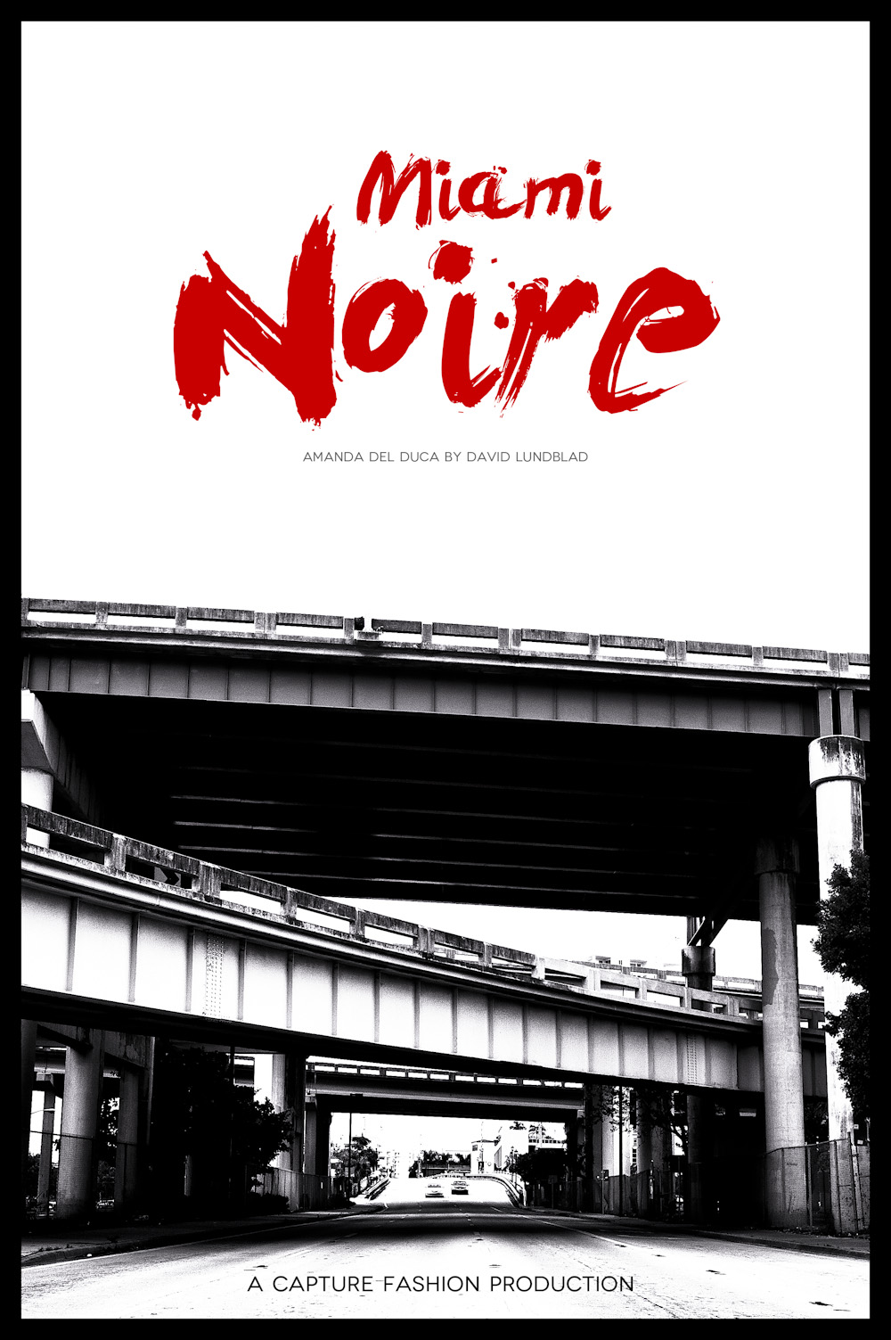 miami noire by amanda del duca-1