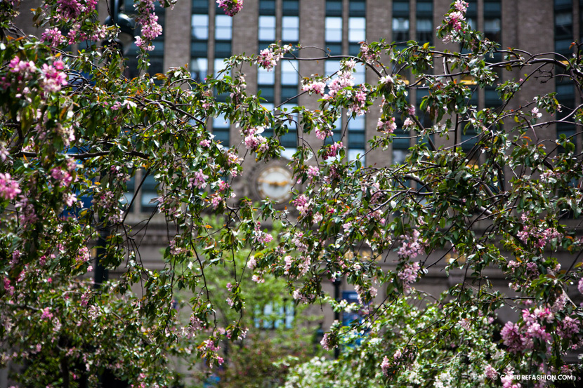 helmsley building by amanda del duca